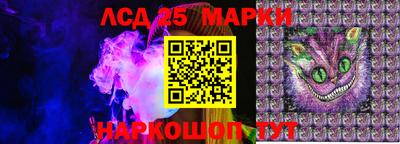 сатива Будённовск