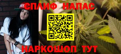 сатива Будённовск
