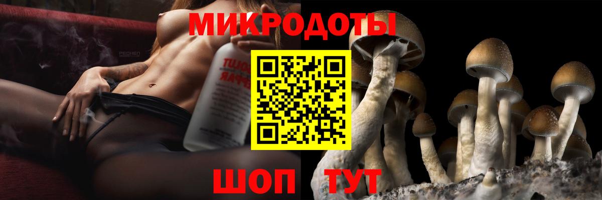 Красногорск  Галлюциногенные грибы Psilocybe  Вход с VPN 